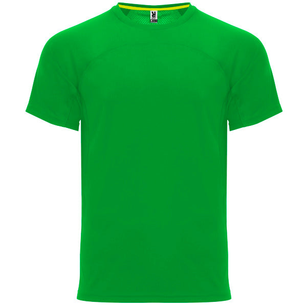 Monaco - Verde Tei
